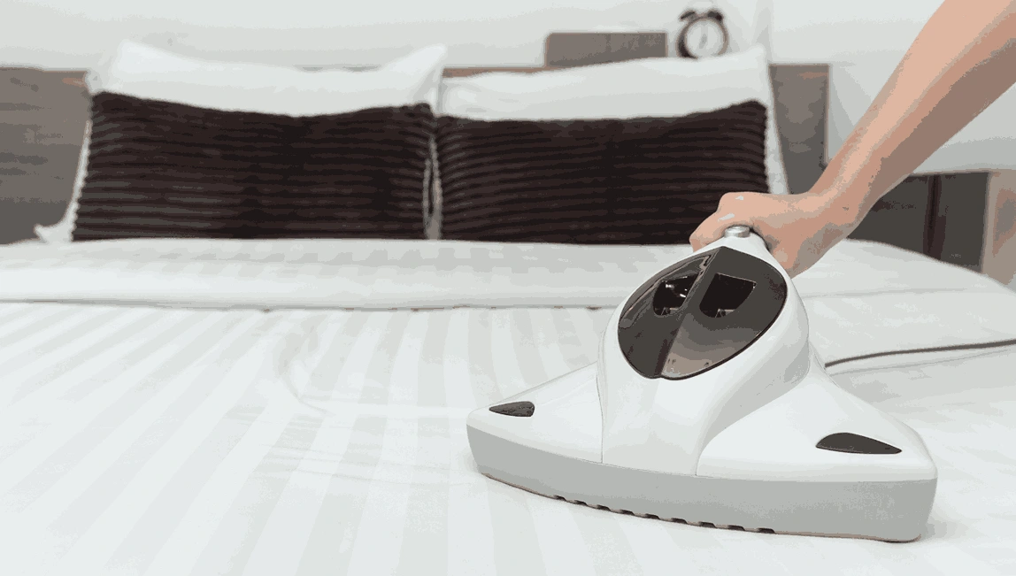 Professional Mattress Cleaning Gordon